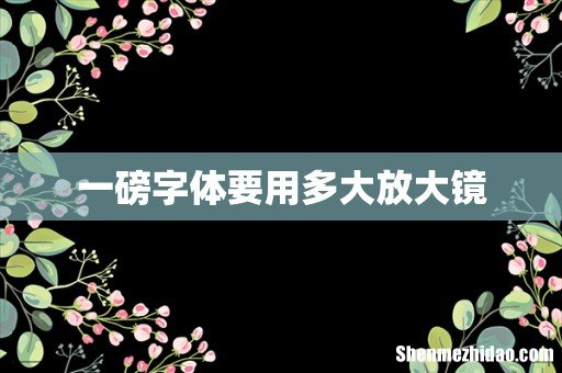 一磅字体要用多大放大镜