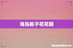 海岛栀子花花期