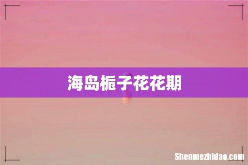海岛栀子花花期