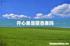 开心果是银杏果吗