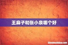 王麻子和张小泉哪个好