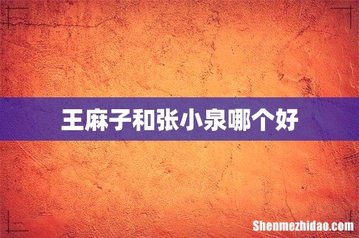 王麻子和张小泉哪个好