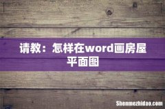 请教：怎样在word画房屋平面图