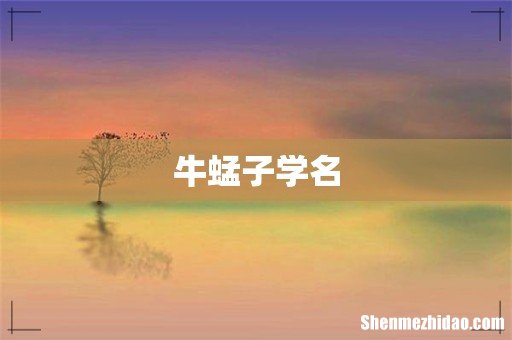 牛蜢子学名