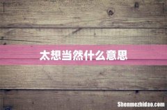 太想当然什么意思