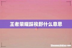 王者荣耀踩视野什么意思