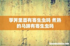 荸荠里面有寄生虫吗 煮熟的马蹄有寄生虫吗
