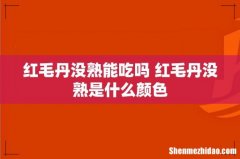 红毛丹没熟能吃吗 红毛丹没熟是什么颜色