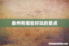 泰州有哪些好玩的景点
