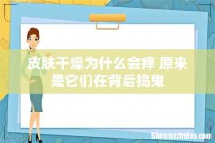 皮肤干燥为什么会痒 原来是它们在背后捣鬼