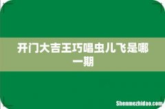 开门大吉王巧唱虫儿飞是哪一期
