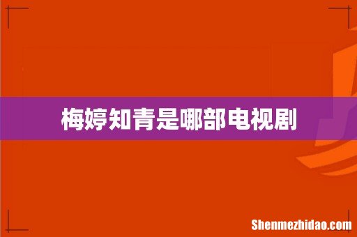 梅婷知青是哪部电视剧