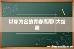 以你为名的青春高雨瑄大结局