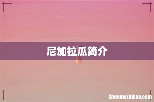 尼加拉瓜简介