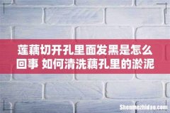 莲藕切开孔里面发黑是怎么回事 如何清洗藕孔里的淤泥