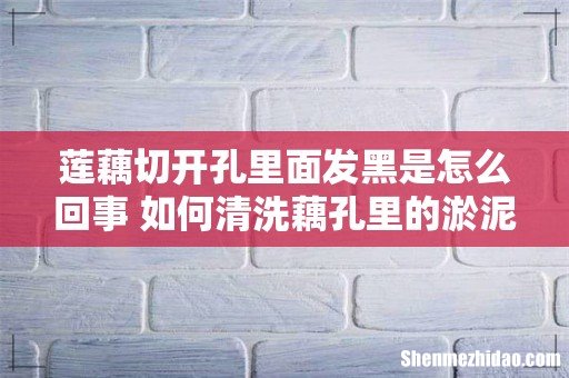 莲藕切开孔里面发黑是怎么回事 如何清洗藕孔里的淤泥