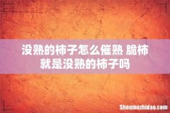 没熟的柿子怎么催熟 脆柿就是没熟的柿子吗