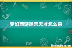 梦幻西游迷宫天才怎么杀