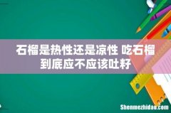 石榴是热性还是凉性 吃石榴到底应不应该吐籽