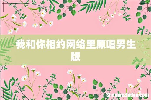我和你相约网络里原唱男生版