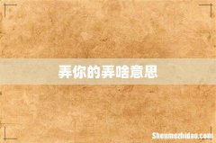 弄你的弄啥意思
