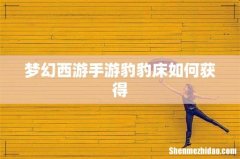 梦幻西游手游豹豹床如何获得