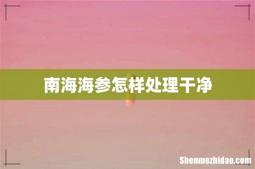 南海海参怎样处理干净