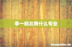 李一桐北舞什么专业