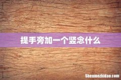 提手旁加一个竖念什么