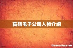 高斯电子公司人物介绍