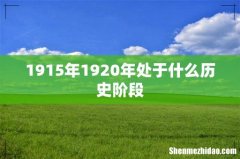 1915年1920年处于什么历史阶段