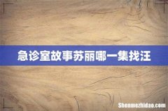 急诊室故事苏丽哪一集找汪