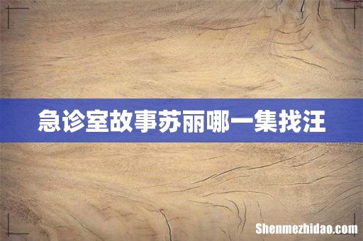 急诊室故事苏丽哪一集找汪