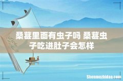 桑葚里面有虫子吗 桑葚虫子吃进肚子会怎样