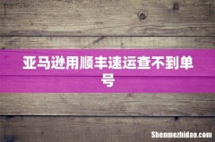 亚马逊用顺丰速运查不到单号