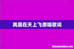 凤凰在天上飞原唱歌词
