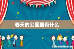 春天的公园里有什么