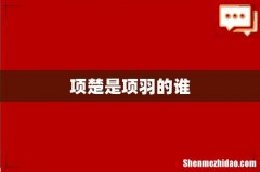 项楚是项羽的谁