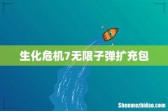生化危机7无限子弹扩充包