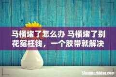 马桶堵了怎么办 马桶堵了别花冤枉钱，一个胶带就解决！关键不脏手！