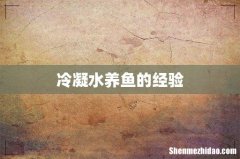 冷凝水养鱼的经验