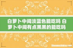 白萝卜中间淡蓝色能吃吗 白萝卜中间有点黑黑的能吃吗
