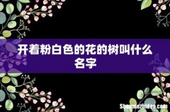 开着粉白色的花的树叫什么名字