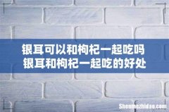 银耳可以和枸杞一起吃吗 银耳和枸杞一起吃的好处