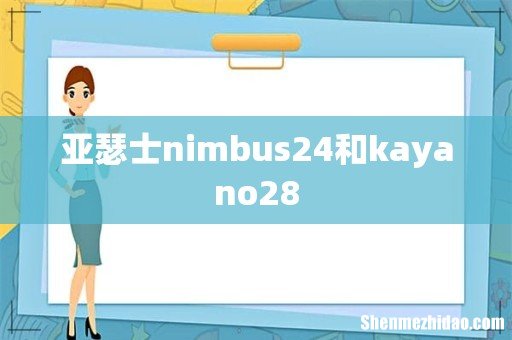 亚瑟士nimbus24和kayano28