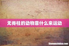 无脊柱的动物靠什么来运动