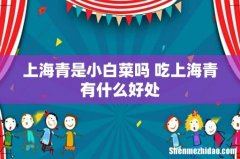 上海青是小白菜吗 吃上海青有什么好处