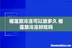 榴莲放冷冻可以放多久 榴莲放冷冻好吃吗