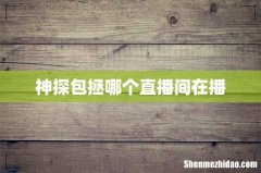 神探包拯哪个直播间在播