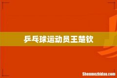 乒乓球运动员王楚钦